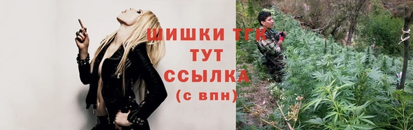 кокс Гусев