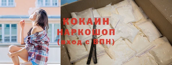 кокс Гусев