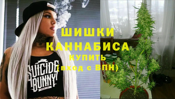 кокс Гусев