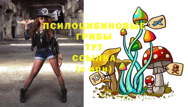 соль курить ск Гусиноозёрск